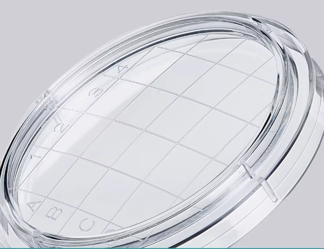 Radoc petri dish 2 Radoc petri dish 2